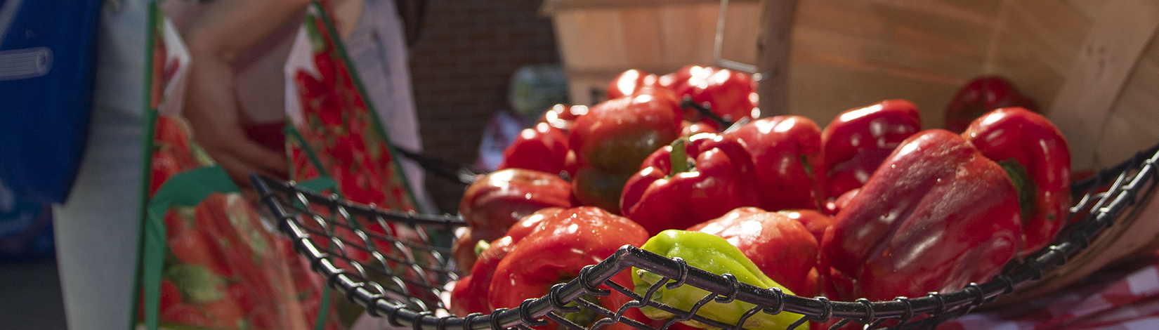 Farmers market shopping. Photo taken 02-24-22.