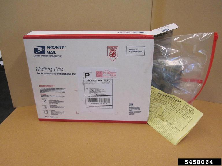 Picture of a USPS shipping box containing a sample to be sent to the lab
