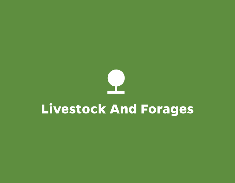 Livestock and Forages