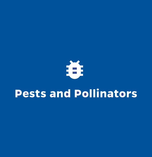 Pests and Pollinators
